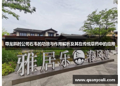 尊龙凯时公司石韦的功效与作用解析及其在传统草药中的应用