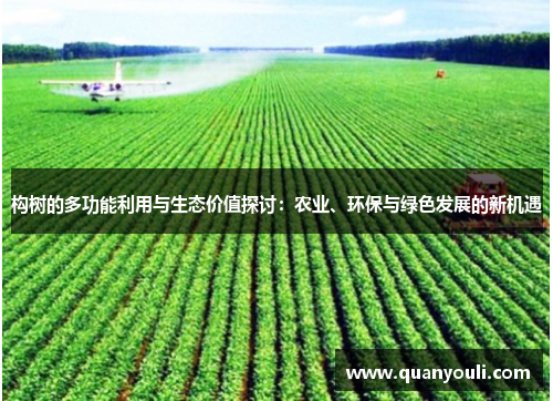 构树的多功能利用与生态价值探讨：农业、环保与绿色发展的新机遇