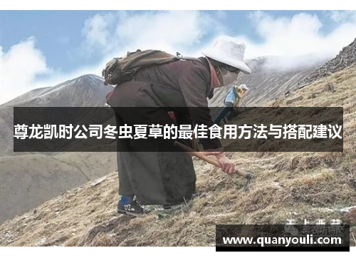 尊龙凯时公司冬虫夏草的最佳食用方法与搭配建议